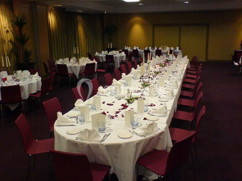 Location salle Le Mesnil-Amelot (Seine-et-Marne) - Radisson Blu Hôtel, Paris Charles De Gaulle Airport #3