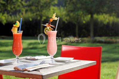 Location salle Le Mesnil-Amelot (Seine-et-Marne) - Radisson Blu Hôtel, Paris Charles De Gaulle Airport #21