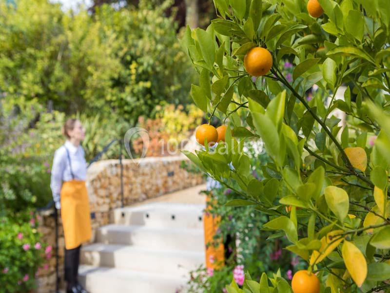 Location salle Verzy (Marne) - Le Manoir De Verzy #4