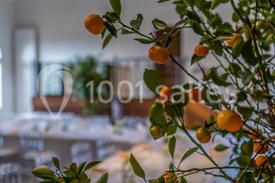 Location salle Verzy (Marne) - Le Manoir De Verzy #11