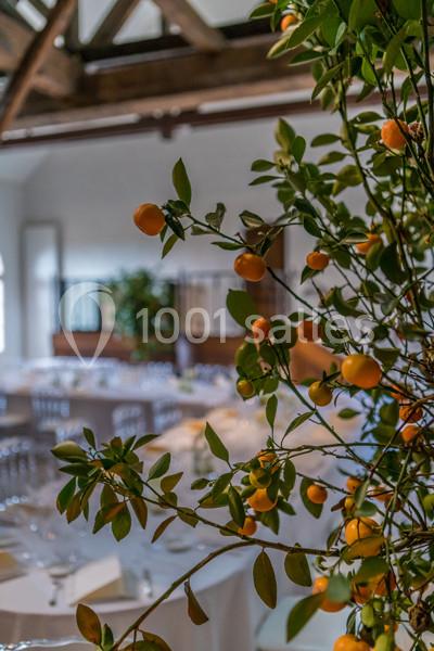 Location salle Verzy (Marne) - Le Manoir De Verzy #5