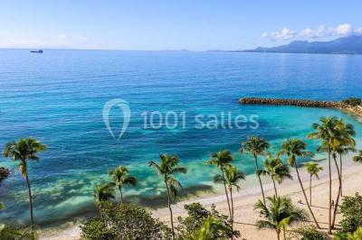 Plage bordée de palmiers avec eau turquoise, barrière rocheuse et montagnes à l'horizon sous un ciel dégagé.