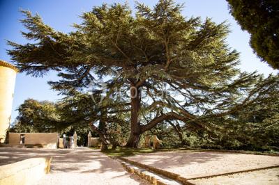 Location salle Aix-en-Provence (Bouches-du-Rhône) - Château du Seuil #43