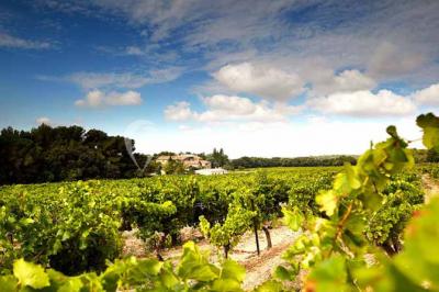 Location salle Aix-en-Provence (Bouches-du-Rhône) - Château du Seuil #43