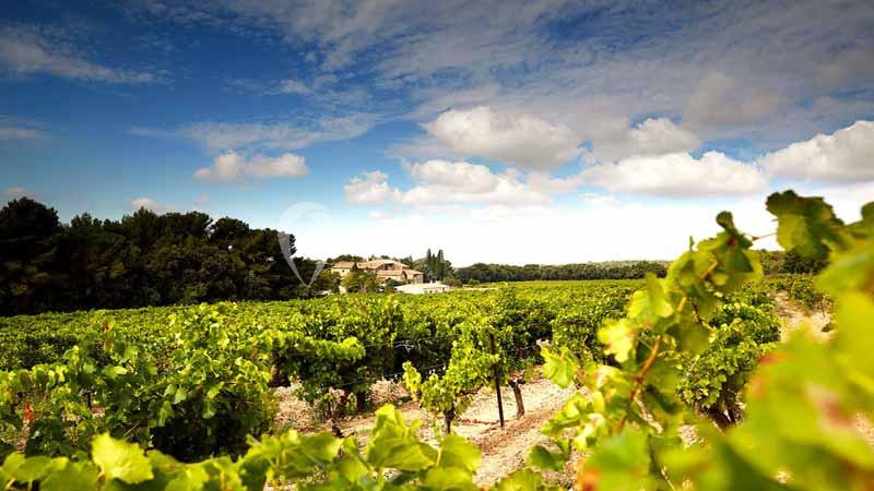 Location salle Aix-en-Provence (Bouches-du-Rhône) - Château du Seuil #22