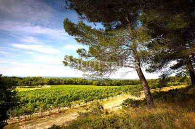 Location salle Aix-en-Provence (Bouches-du-Rhône) - Château du Seuil #43