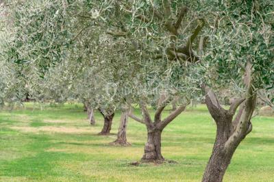 Location salle Aix-en-Provence (Bouches-du-Rhône) - Château du Seuil #43