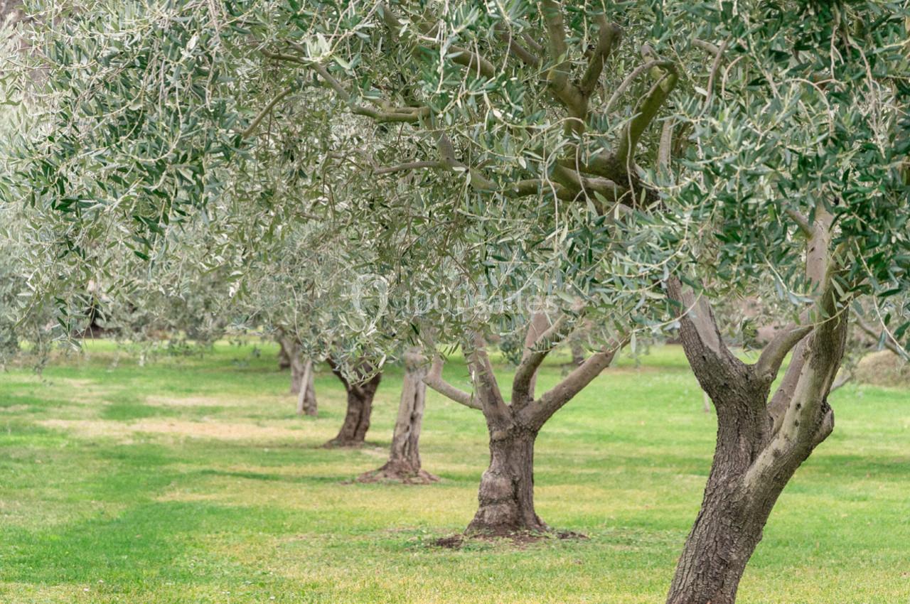 Location salle Aix-en-Provence (Bouches-du-Rhône) - Château du Seuil #29