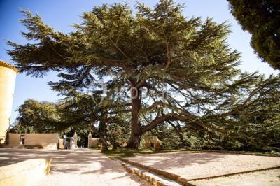 Location salle Aix-en-Provence (Bouches-du-Rhône) - Château du Seuil #18