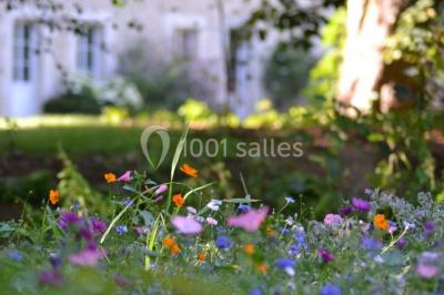 Location salle Bransles (Seine-et-Marne) - L'Orangerie du Moulin #24