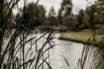 Location salle Damvix (Vendée) - L’Émeraude #21