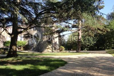 Miniature Location salle Maulévrier (Maine-et-Loire) - L'orangerie Du Château De La Frogerie #5 Location salle Maulévrier (Maine-et-Loire) - L'orangerie Du Château De La Frogerie #24