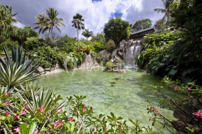 Jardin Botanique De Deshaies Jardin Botanique De Deshaies