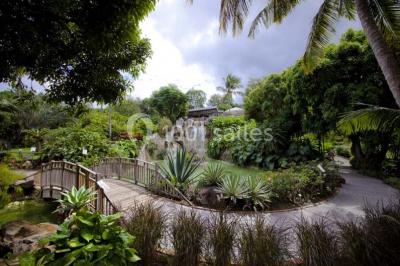 Location salle Deshaies (Guadeloupe) - Jardin Botanique De Deshaies #24