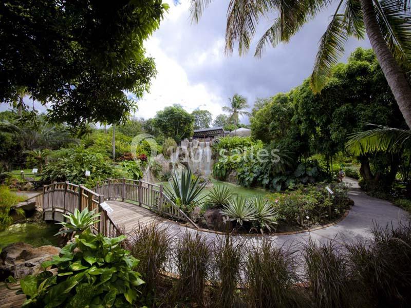 Location salle Deshaies (Guadeloupe) - Jardin Botanique De Deshaies #3