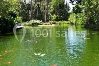 Location salle Deshaies (Guadeloupe) - Jardin Botanique De Deshaies #24