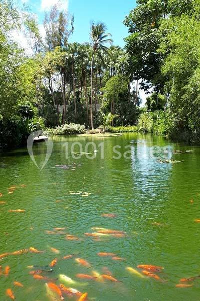 Location salle Deshaies (Guadeloupe) - Jardin Botanique De Deshaies #22