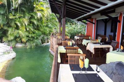 Location salle Deshaies (Guadeloupe) - Jardin Botanique De Deshaies #24