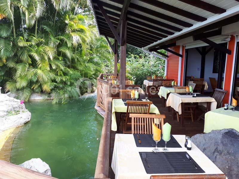 Location salle Deshaies (Guadeloupe) - Jardin Botanique De Deshaies #5