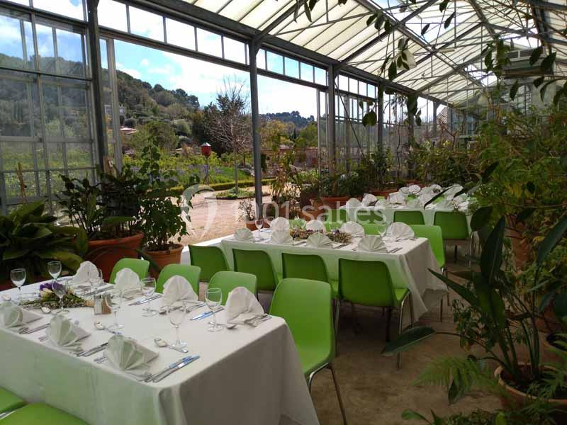 Location salle Mouans-Sartoux (Alpes-Maritimes) - Les Jardins du Musée International de la Parfumerie Jmip #19