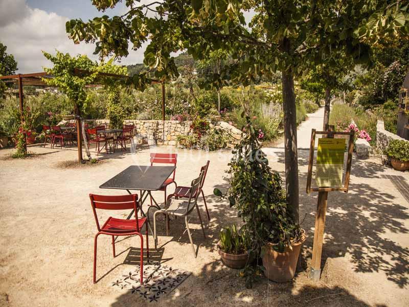 Location salle Mouans-Sartoux (Alpes-Maritimes) - Les Jardins du Musée International de la Parfumerie Jmip #14