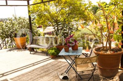 Location salle Mouans-Sartoux (Alpes-Maritimes) - Les Jardins du Musée International de la Parfumerie Jmip #24