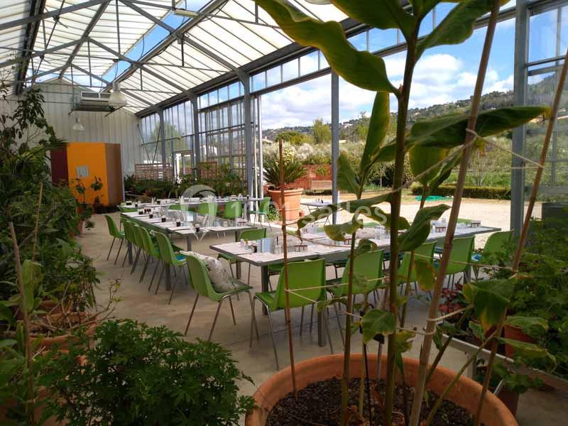 Location salle Mouans-Sartoux (Alpes-Maritimes) - Les Jardins du Musée International de la Parfumerie Jmip #10