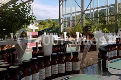 Location salle Mouans-Sartoux (Alpes-Maritimes) - Les Jardins du Musée International de la Parfumerie Jmip #24