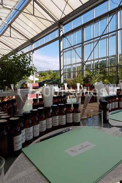 Location salle Mouans-Sartoux (Alpes-Maritimes) - Les Jardins du Musée International de la Parfumerie Jmip #11