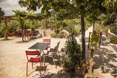 Location salle Mouans-Sartoux (Alpes-Maritimes) - Les Jardins du Musée International de la Parfumerie Jmip #24