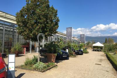 Location salle Mouans-Sartoux (Alpes-Maritimes) - Les Jardins du Musée International de la Parfumerie Jmip #24