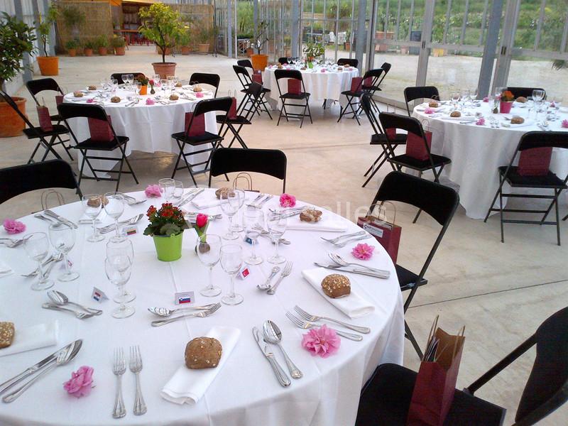 Location salle Mouans-Sartoux (Alpes-Maritimes) - Les Jardins du Musée International de la Parfumerie Jmip #6