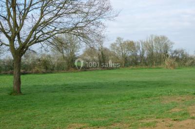 Bar avec éclairage rouge, comptoir en bois, étagères avec verres et décorations, ambiance tamisée.