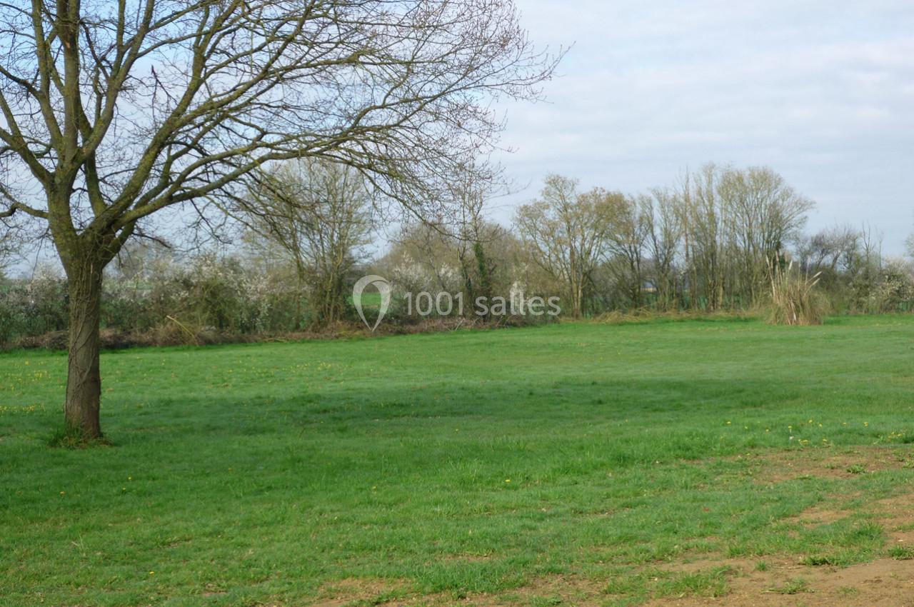 Prairie verdoyante avec un arbre à gauche, bordée de haies et d'arbres sous un ciel légèrement nuageux.
