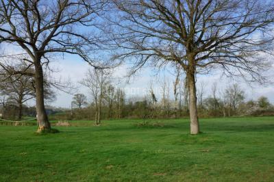 Bar avec éclairage rouge, comptoir en bois, étagères avec verres et décorations, ambiance tamisée.