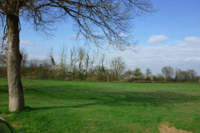 Bar avec éclairage rouge, comptoir en bois, étagères avec verres et décorations, ambiance tamisée.