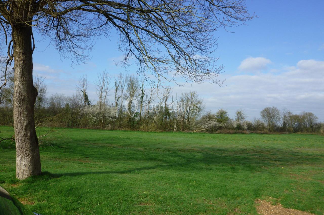 Un champ verdoyant avec un arbre au premier plan et une haie d'arbres en arrière-plan sous un ciel partiellement nuageux.