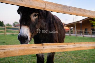 Location salle Boisset-lès-Montrond (Loire) - La Ferme Aux Trois Granges #19