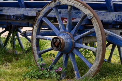 Location salle Boisset-lès-Montrond (Loire) - La Ferme Aux Trois Granges #19