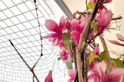 Location salle Saint-Quentin (Aisne) - La Rotonde #31