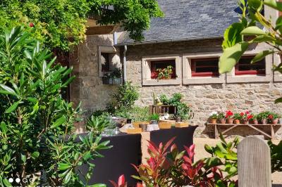 Miniature Location salle Gouesnou (Finistère) - La Cour des Grands #2 Allée bordée de buis en pots et d'un mur en pierre, avec pelouse et arbres en arrière-plan.