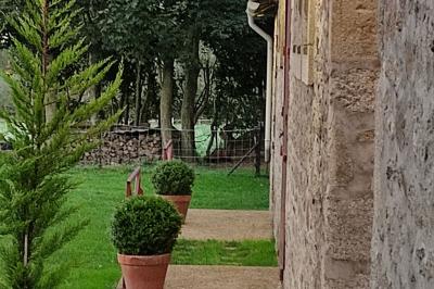 Miniature Location salle Gouesnou (Finistère) - La Cour des Grands #25 Allée bordée de buis en pots et d'un mur en pierre, avec pelouse et arbres en arrière-plan.
