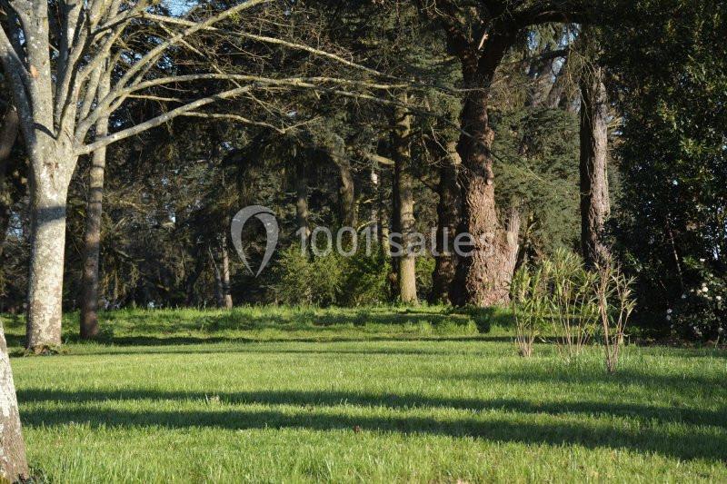 Location salle Saint-Geniès-Bellevue (Haute-Garonne) - La Bastide Rouge #15