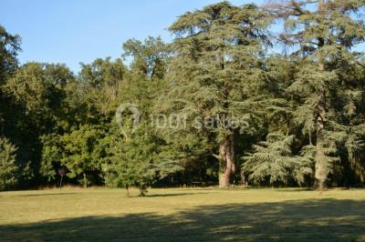 Location salle Saint-Geniès-Bellevue (Haute-Garonne) - La Bastide Rouge #16