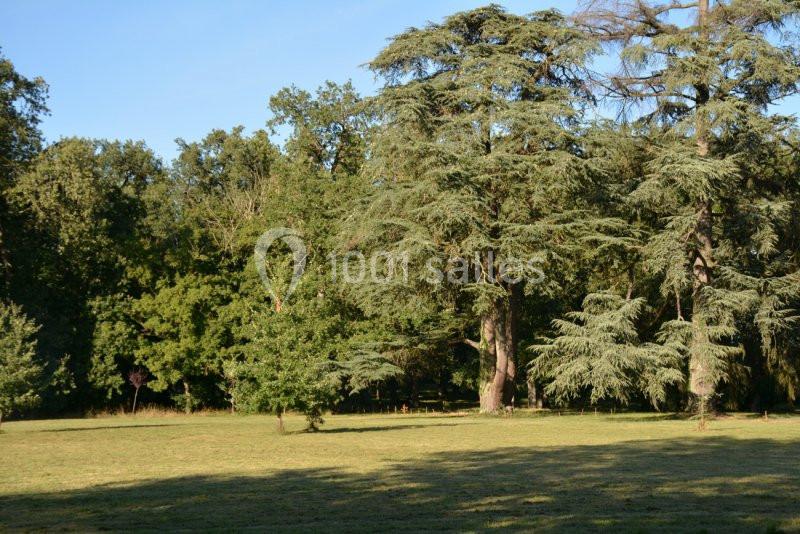 Location salle Saint-Geniès-Bellevue (Haute-Garonne) - La Bastide Rouge #16