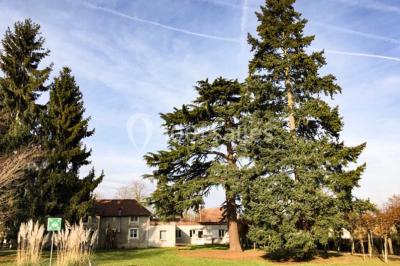 Location salle La Rochette (Seine-et-Marne) - Le Rocheton #17