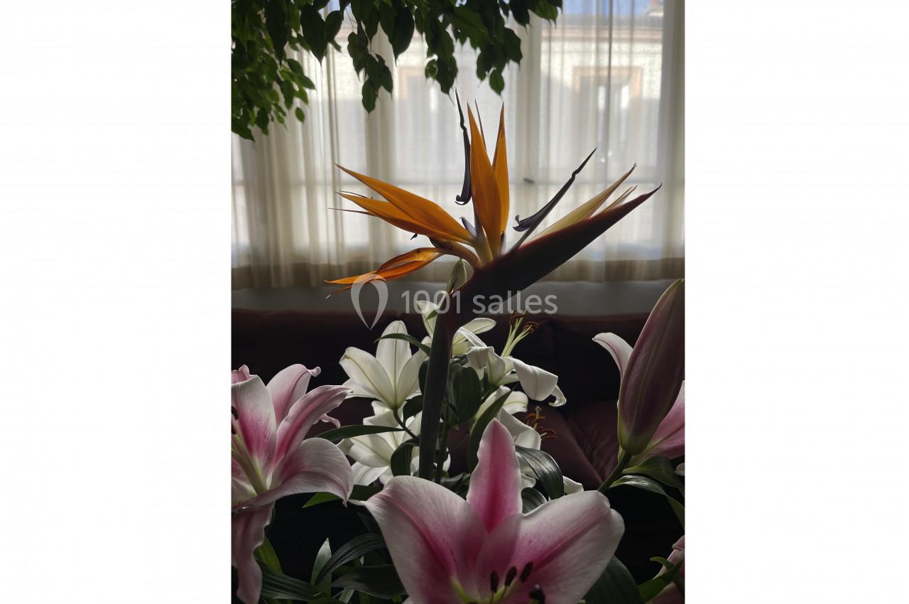 Fleurs colorées, dont un oiseau de paradis orange et des lys roses, devant une fenêtre lumineuse.