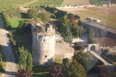 Château De La Galissonnière Château De La Galissonnière