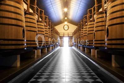 Location salle Pessac (Gironde) - Château Pape Clément #24