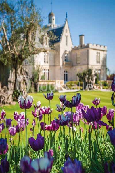 Location salle Pessac (Gironde) - Château Pape Clément #23
